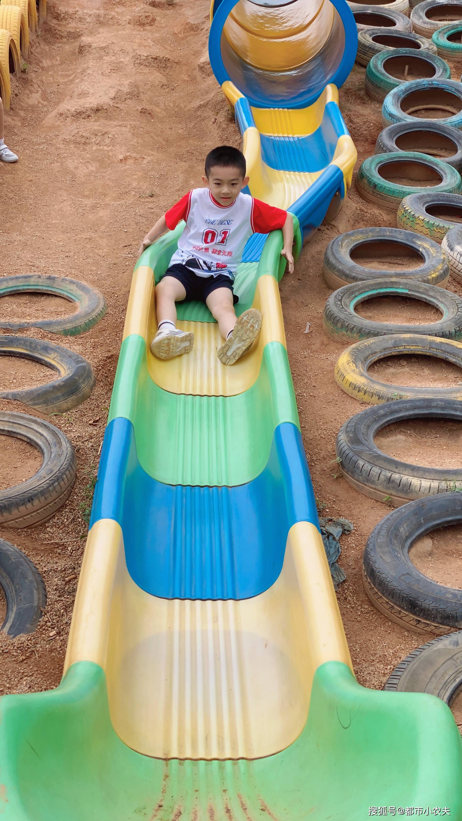 大树|暑假托管最新消息！暑期托管真的对青少年好吗？亲子陪伴的意义到底何在？