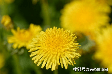 252bc3eeaa3948d782b1ceb168b59208.png