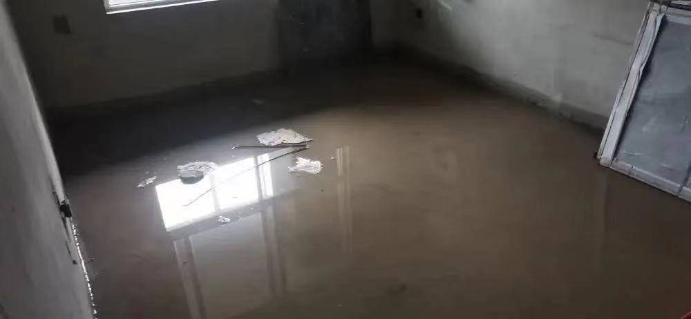 德州齐河东海清河园房屋泡水