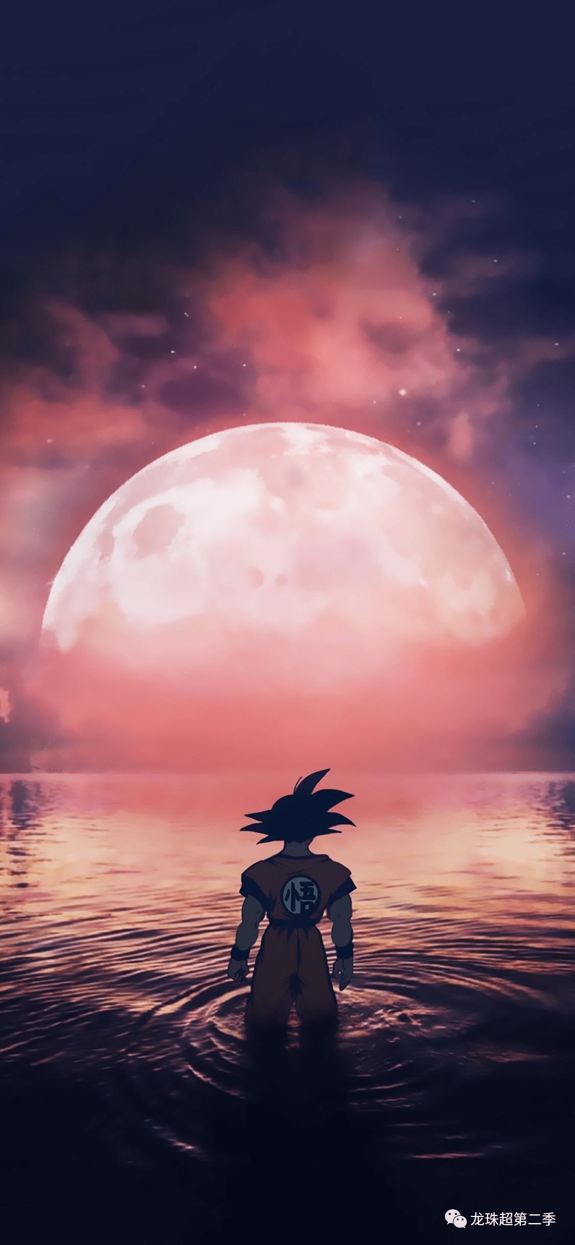 龙珠超:悟空与龙珠女神,18号登场