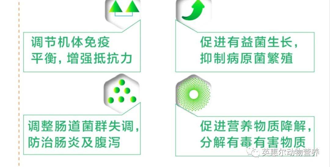 73516c220e834a6cb56e6c80426e4a50.jpeg