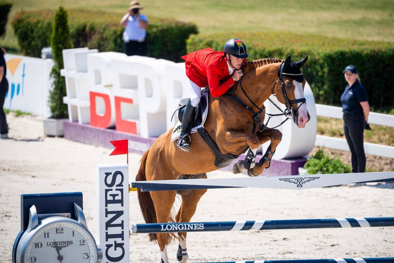 搞懂这些专业术语轻松混迹奥运马术三大项