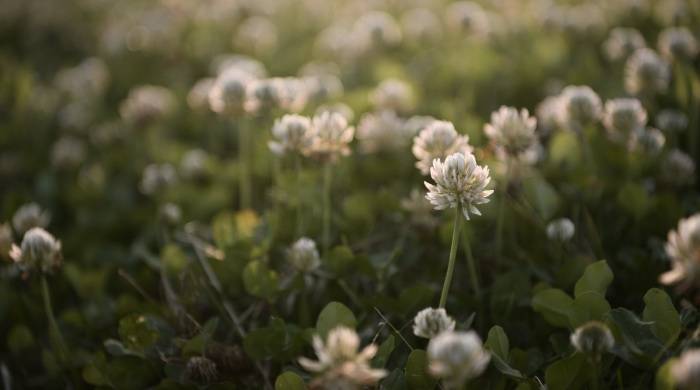 流量不是销量！家电厂商关键时刻还得直奔用户而去-家电圈官网