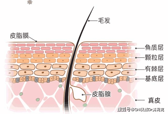 江南枫|江南枫然|做1次皮肤管理，为什么相当100次的家庭护理？