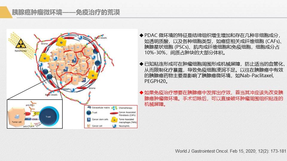 应用|胰腺癌综合治疗大讲堂-免疫治疗专讲主题活动回顾1