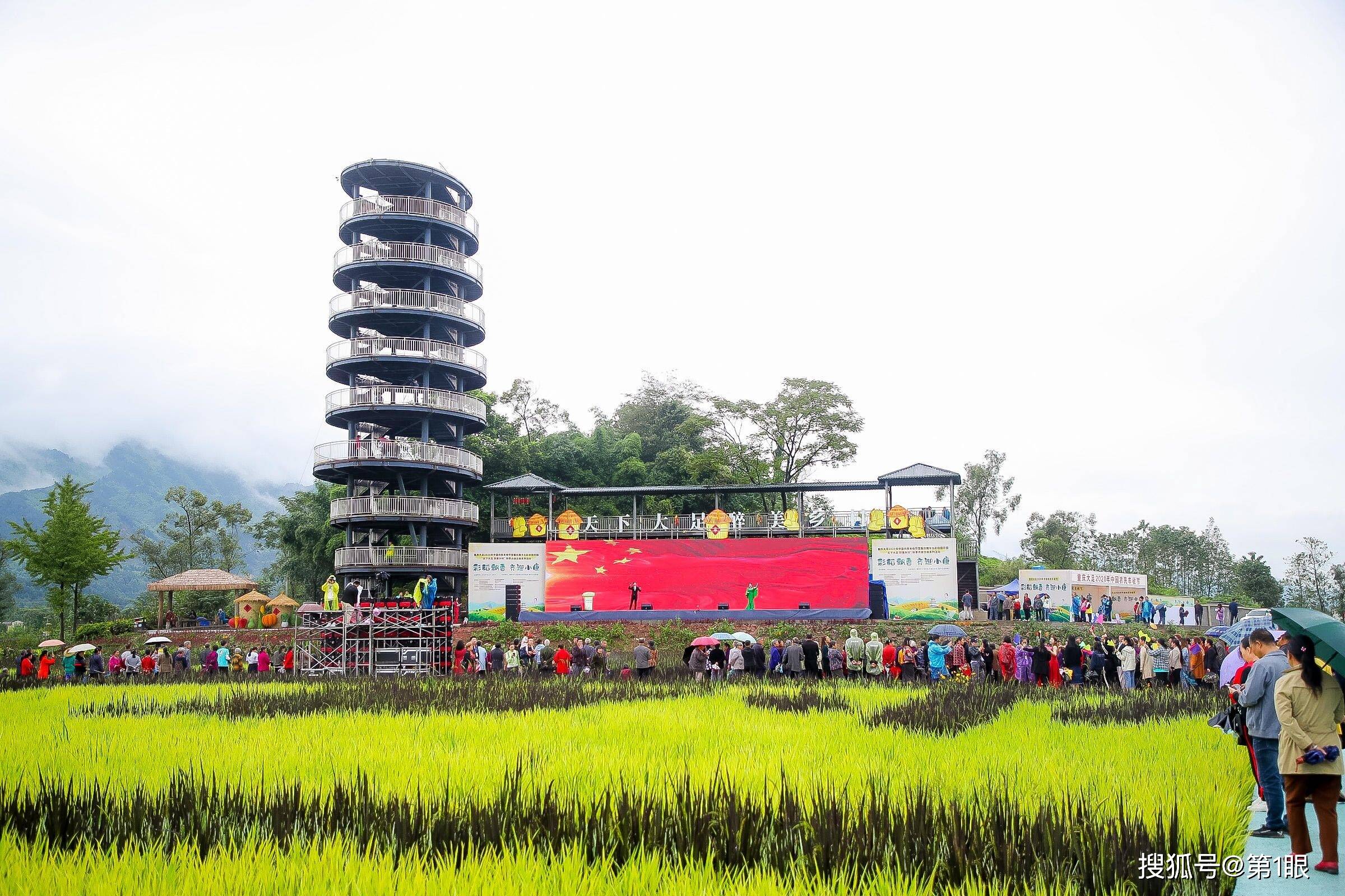 重庆大足杨乃梅带领村民做幸福的长虹人