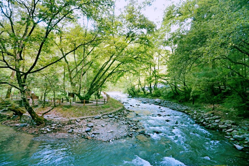 竹溪|来一场说走就走的旅行 夏日宝藏旅行地湖北竹溪