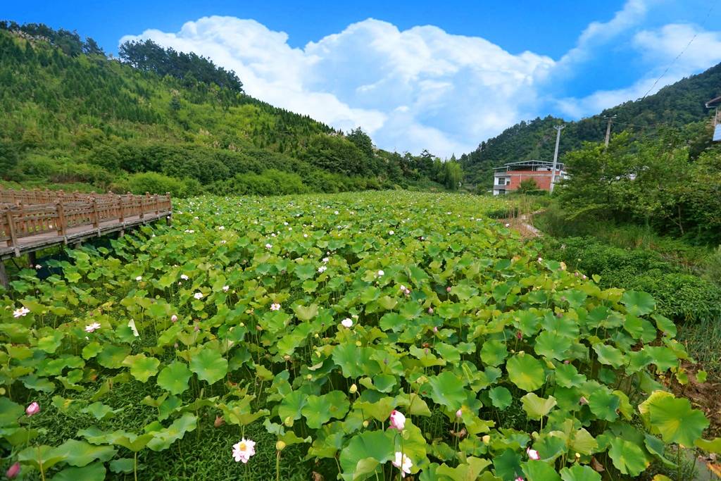 竹溪|来一场说走就走的旅行 夏日宝藏旅行地湖北竹溪