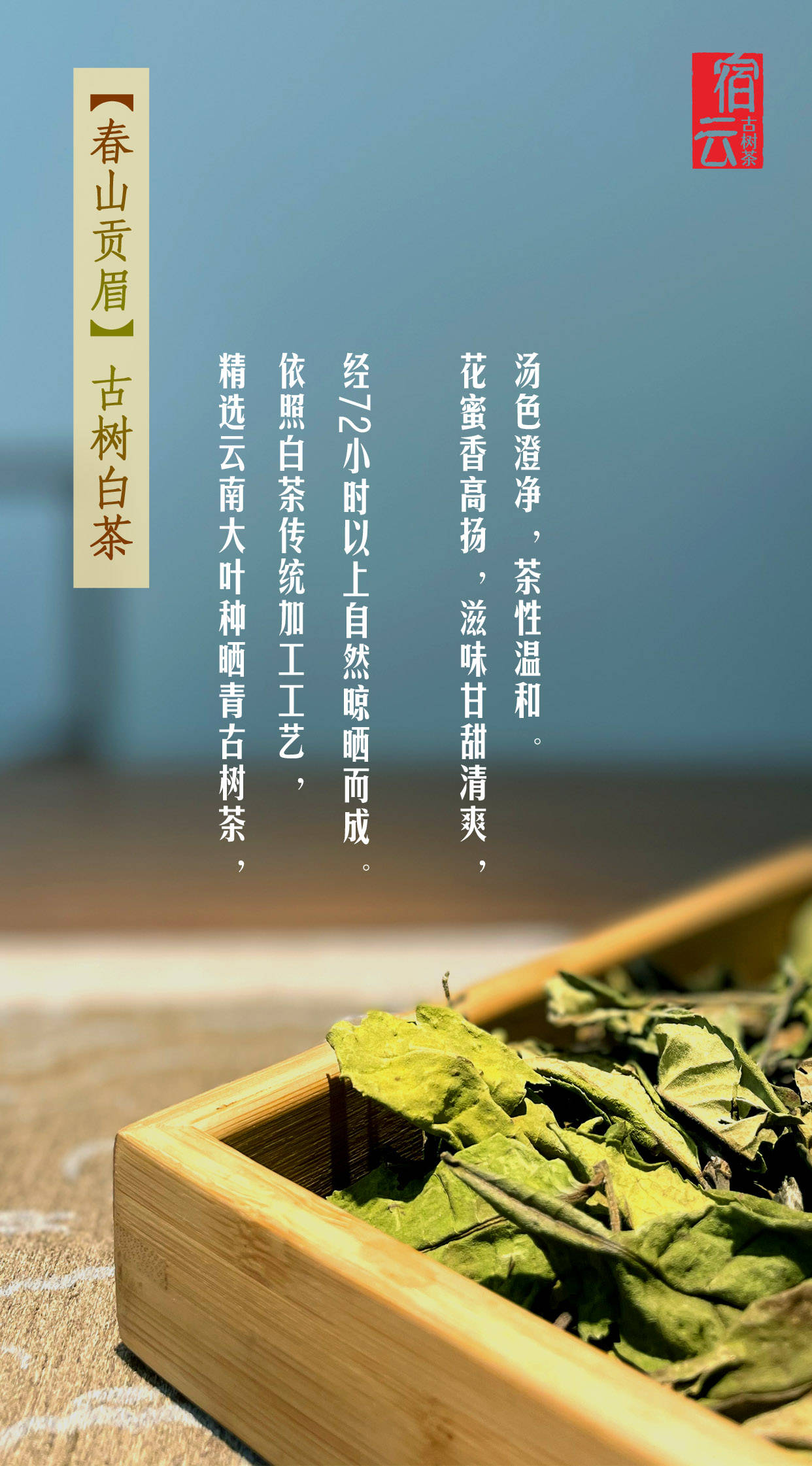 人体|受不了炎炎夏日？宿云人避暑有妙招。