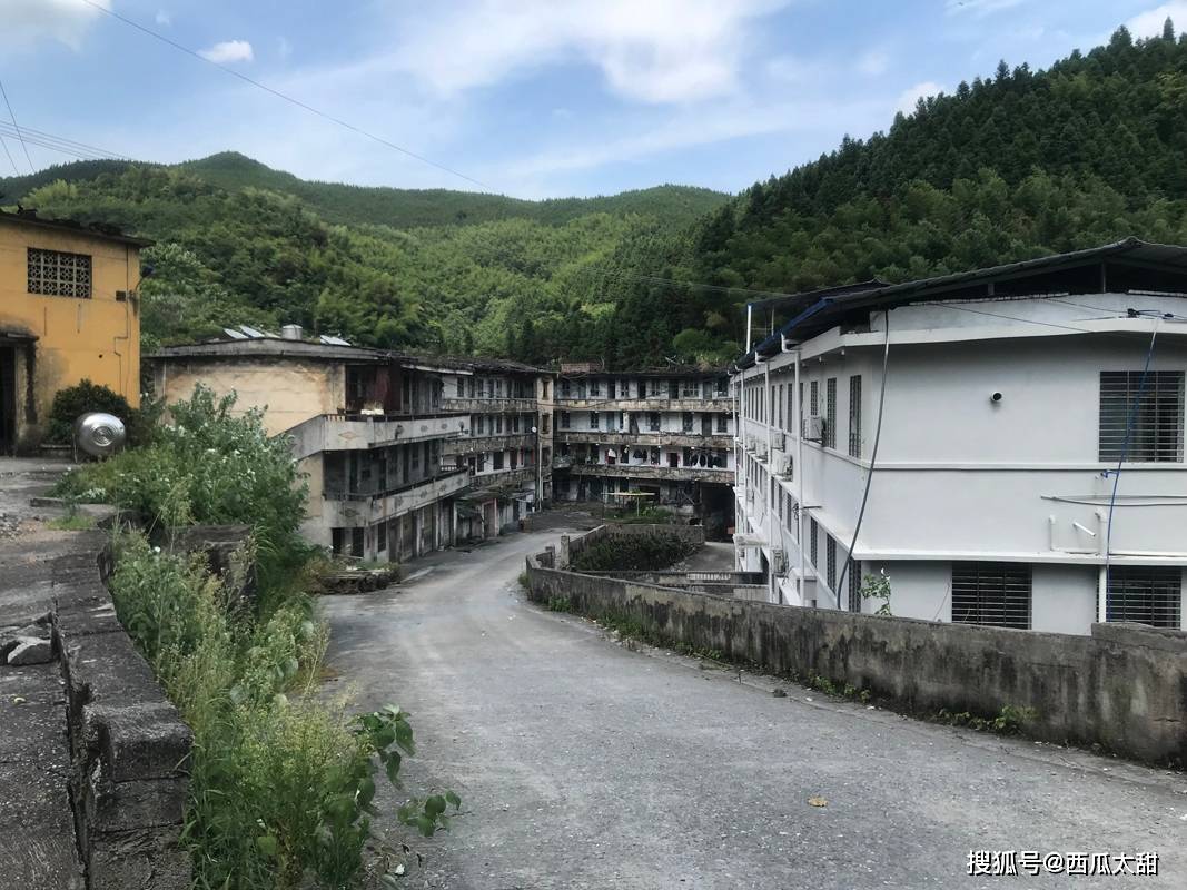 文章配图-4