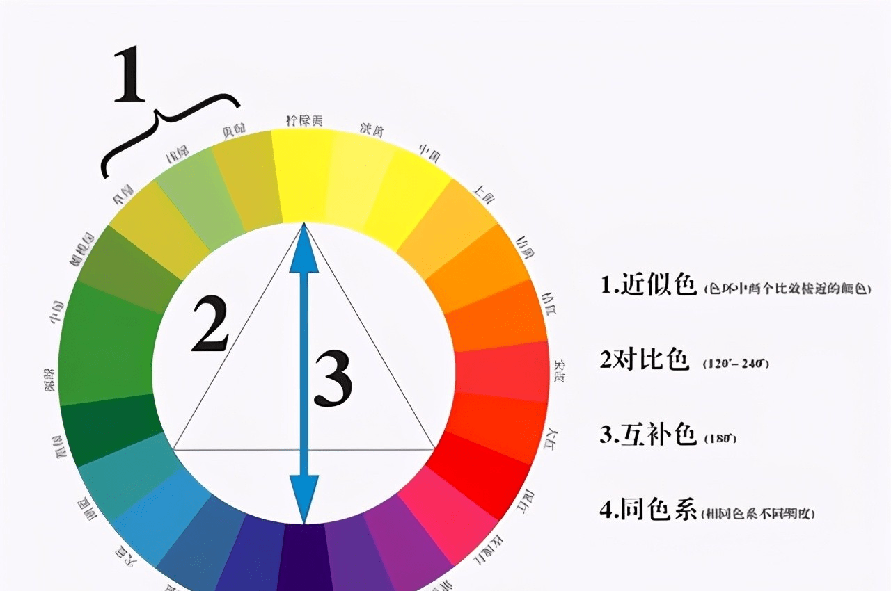牛油果|流行的4种颜色，我都总结在这里了