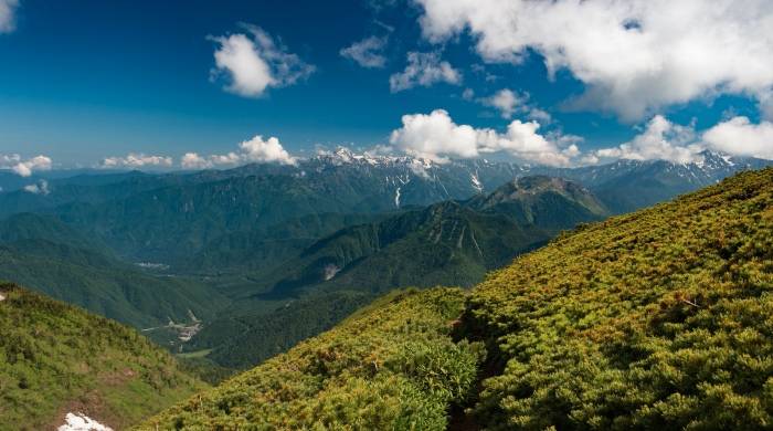 家电产业搞了多年的新品类经营破局，没想到让电商抢占先机-家电圈官网