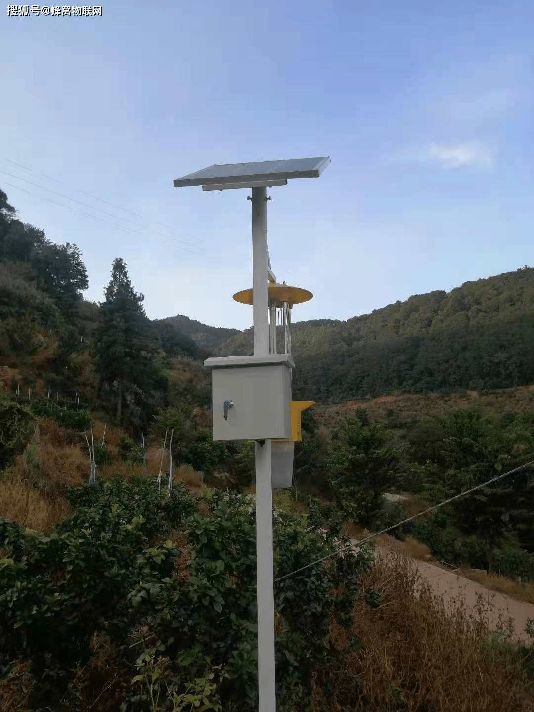 蜂窝物联物联网杀虫灯