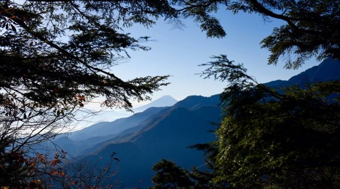 上半年厨电业复苏上演“方太速度”，科技驱动引爆新赛道之争！-家电圈官网
