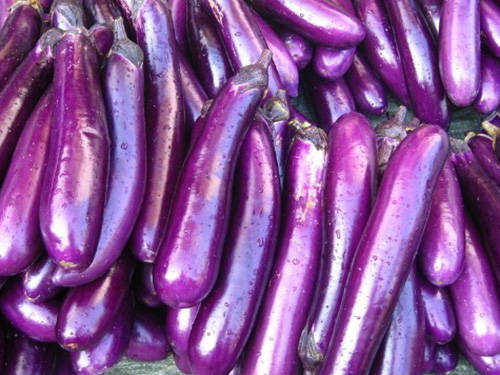 人体|茄子是肝病的“发物”吗？医生：想养肝的人，这2种食物尽量别吃