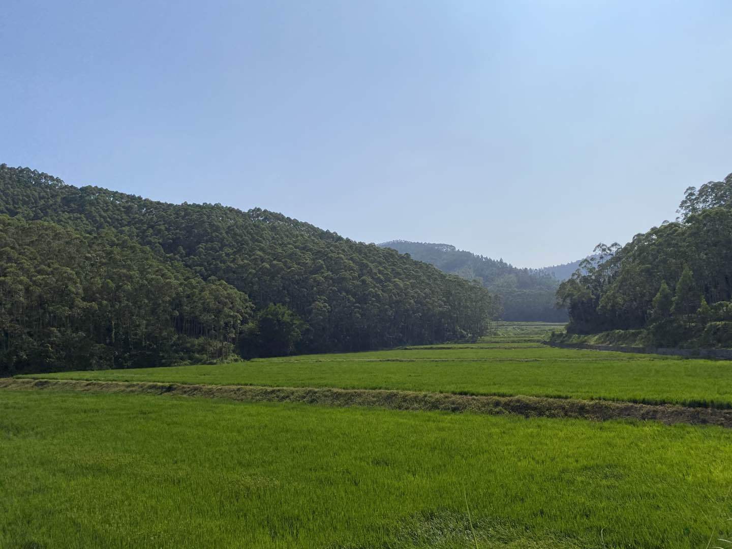 建设美丽乡村—垦造水田篇(316)