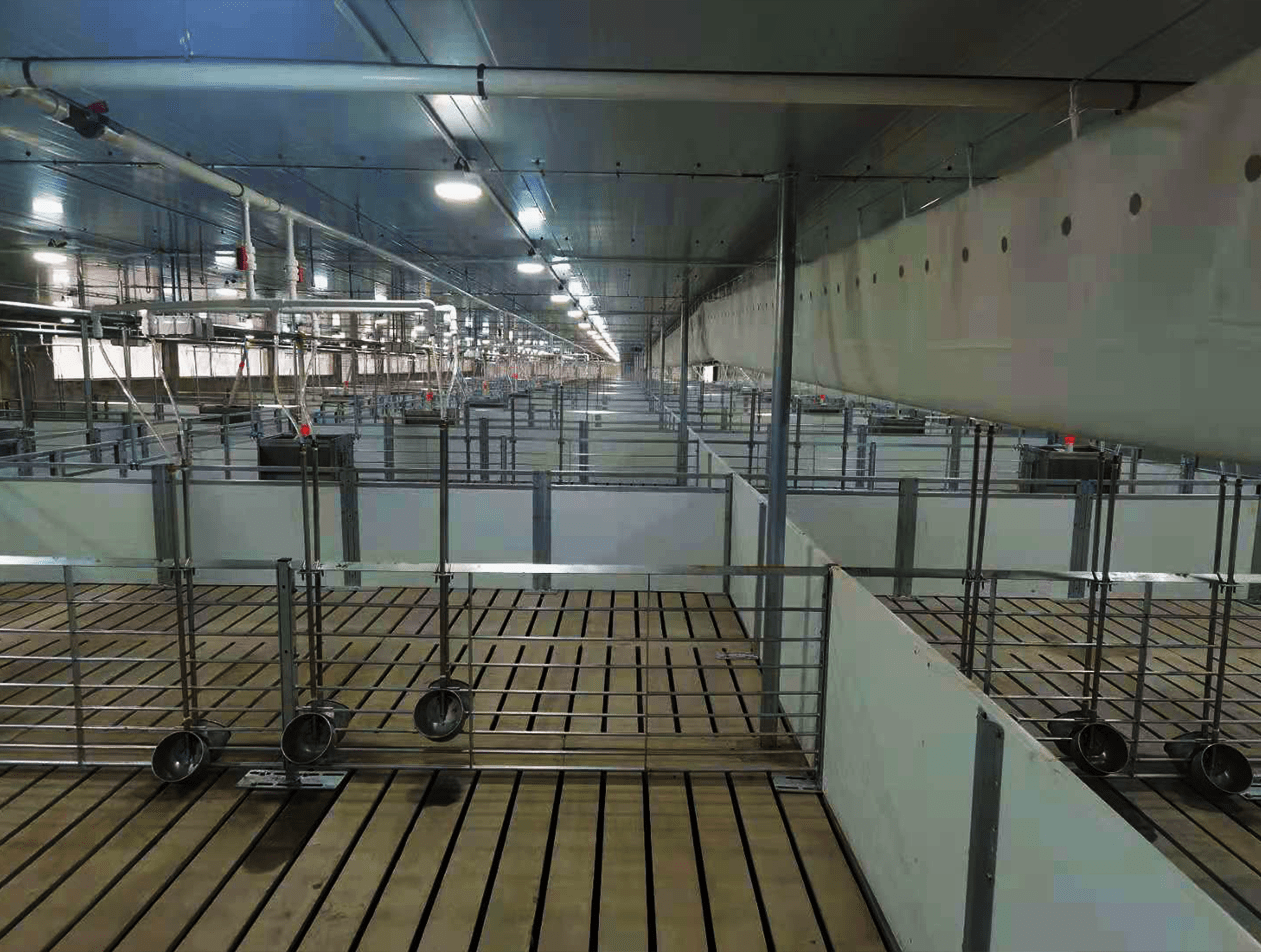 南商农科猪场epc:新希望象州24000头育肥场顺利验收