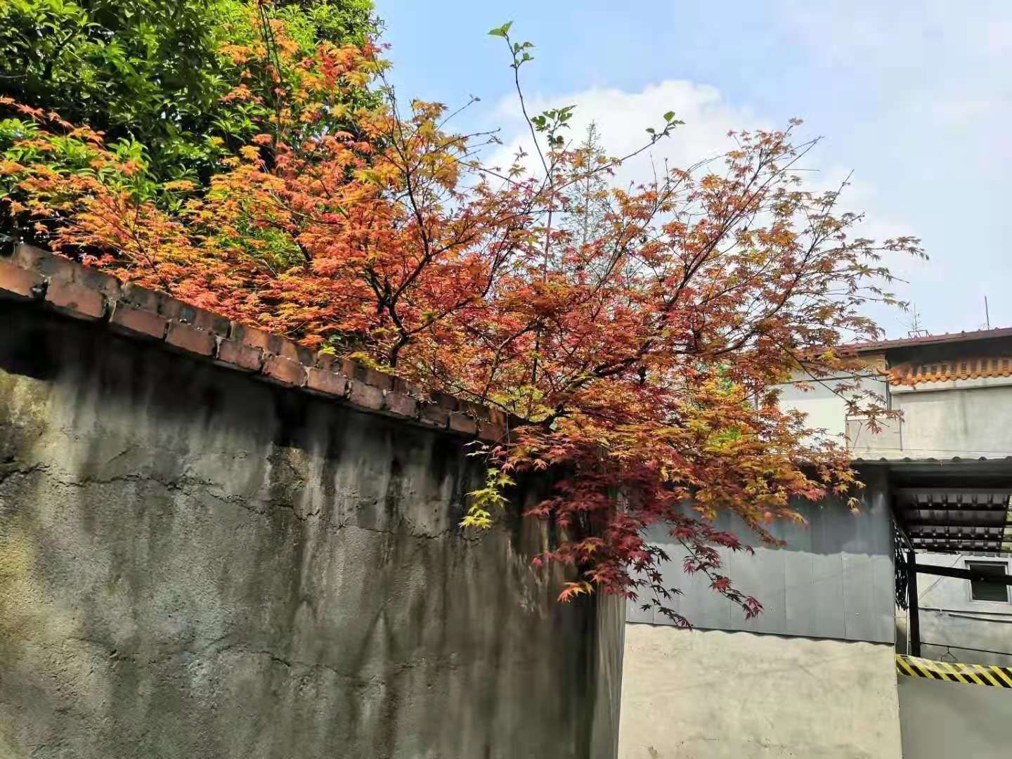 排名榜|幼儿园排行榜，真得香吗？