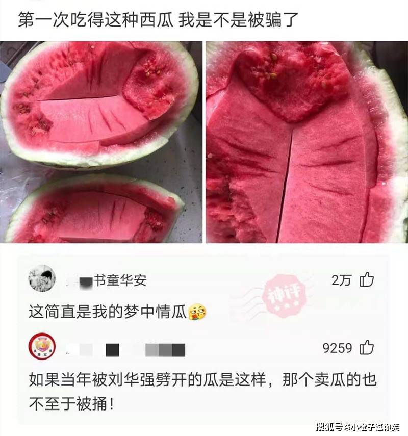 幽默神評：把這個弄斷了，你能跑滿24小時都算你是個人物 搞笑整蠱 第11张