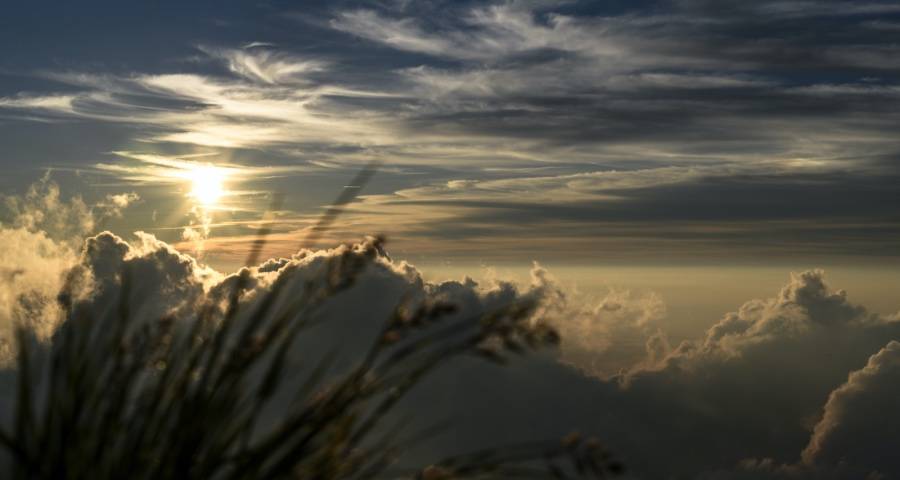 亚马逊重罚造假者警示家电运营商-家电圈官网