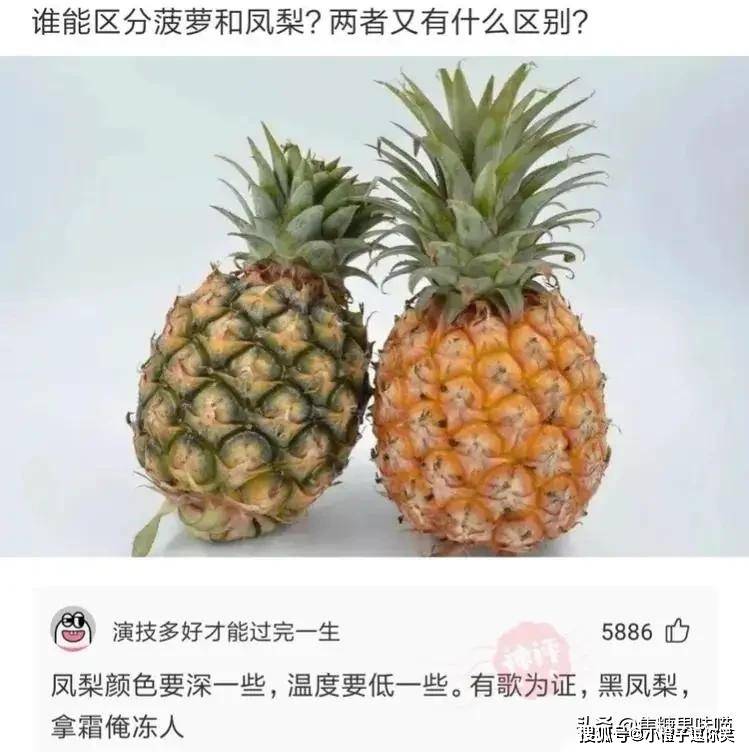 爆笑第7期：那些意想不到的大神評論。 搞笑整蠱 第7张