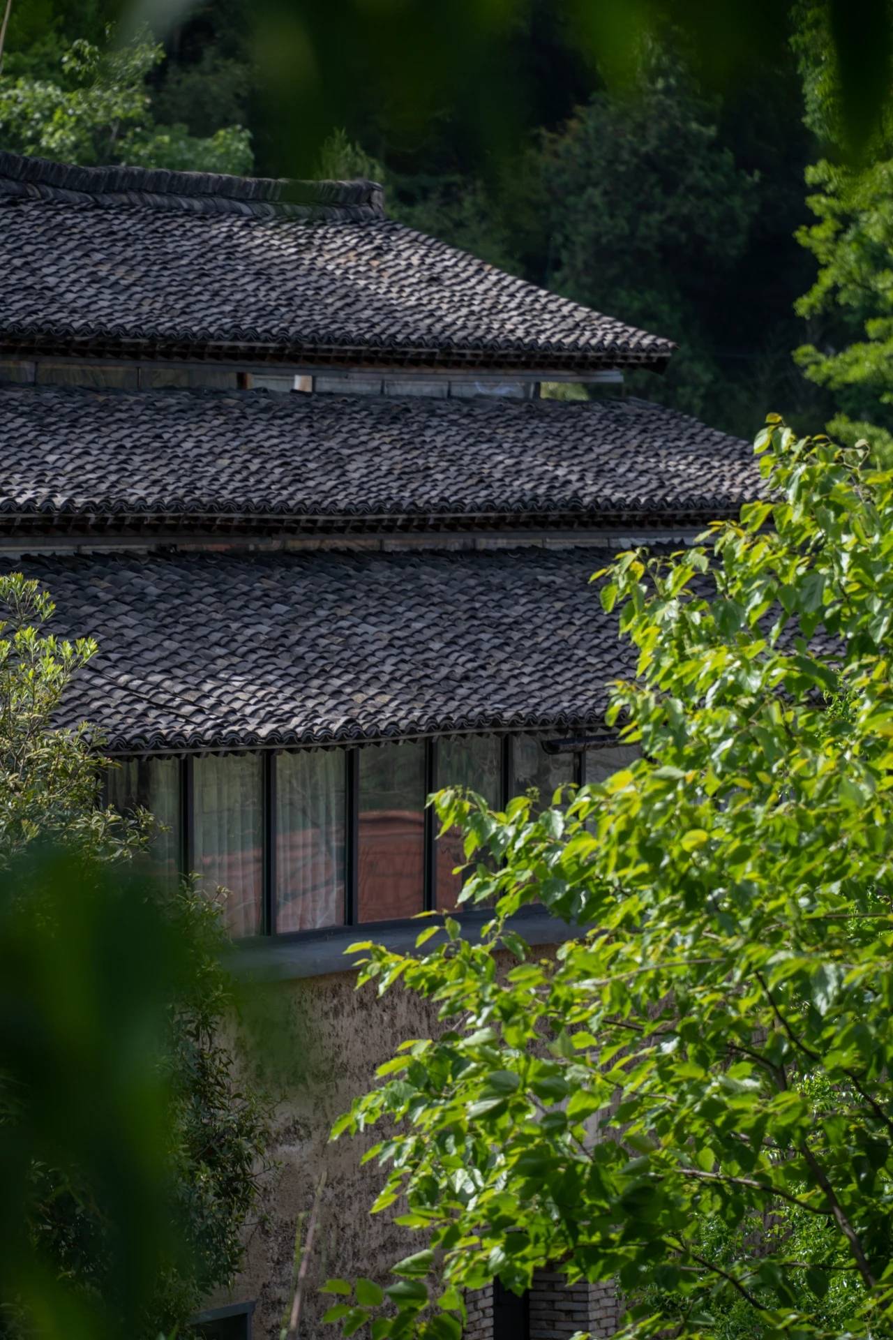 宿优品|藏在安吉竹林深处的避世隐居民宿,拥泉而居,枕山而眠!