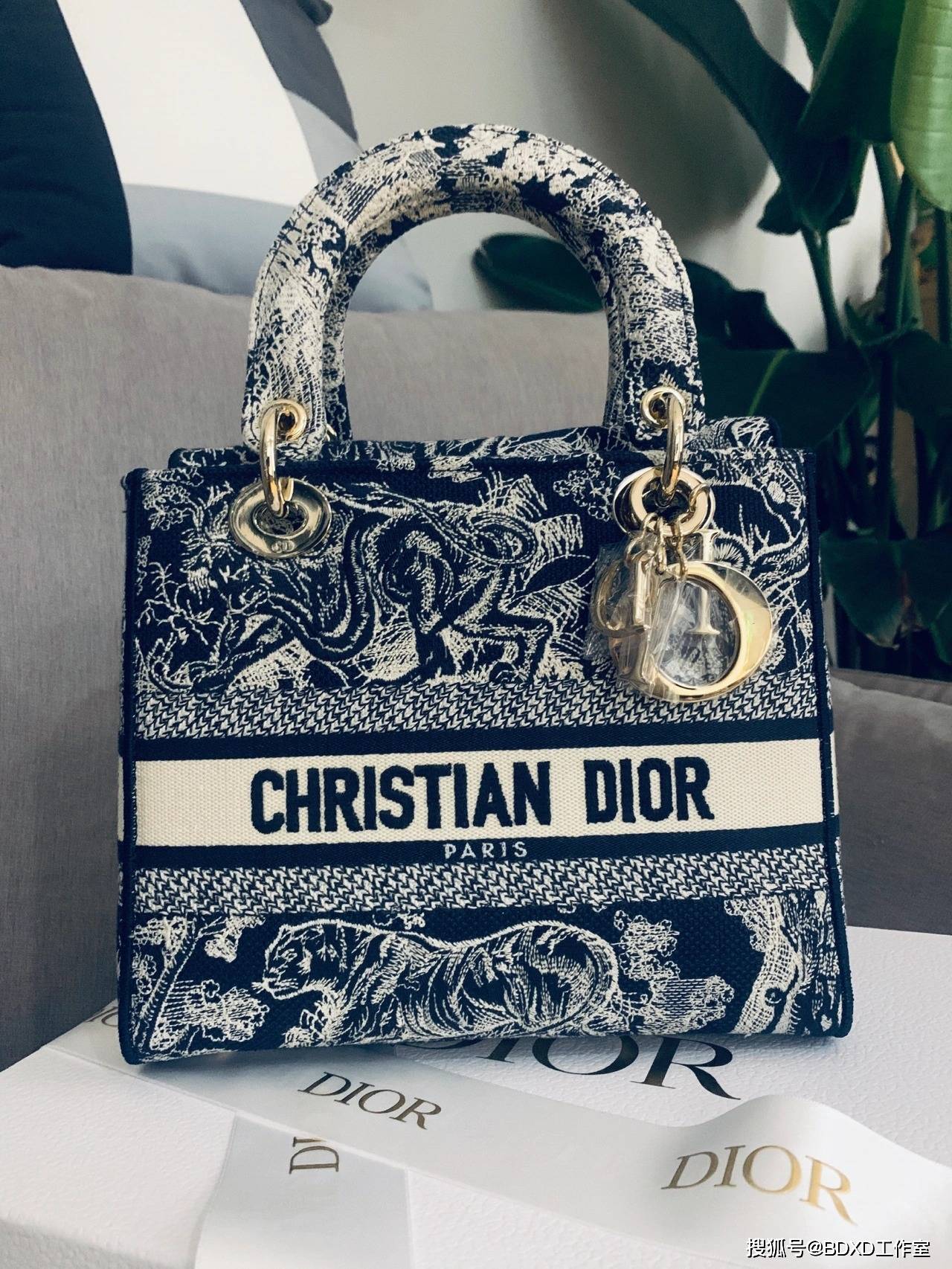 刺绣|Dior2021新款Lady D-Lite印花刺绣包