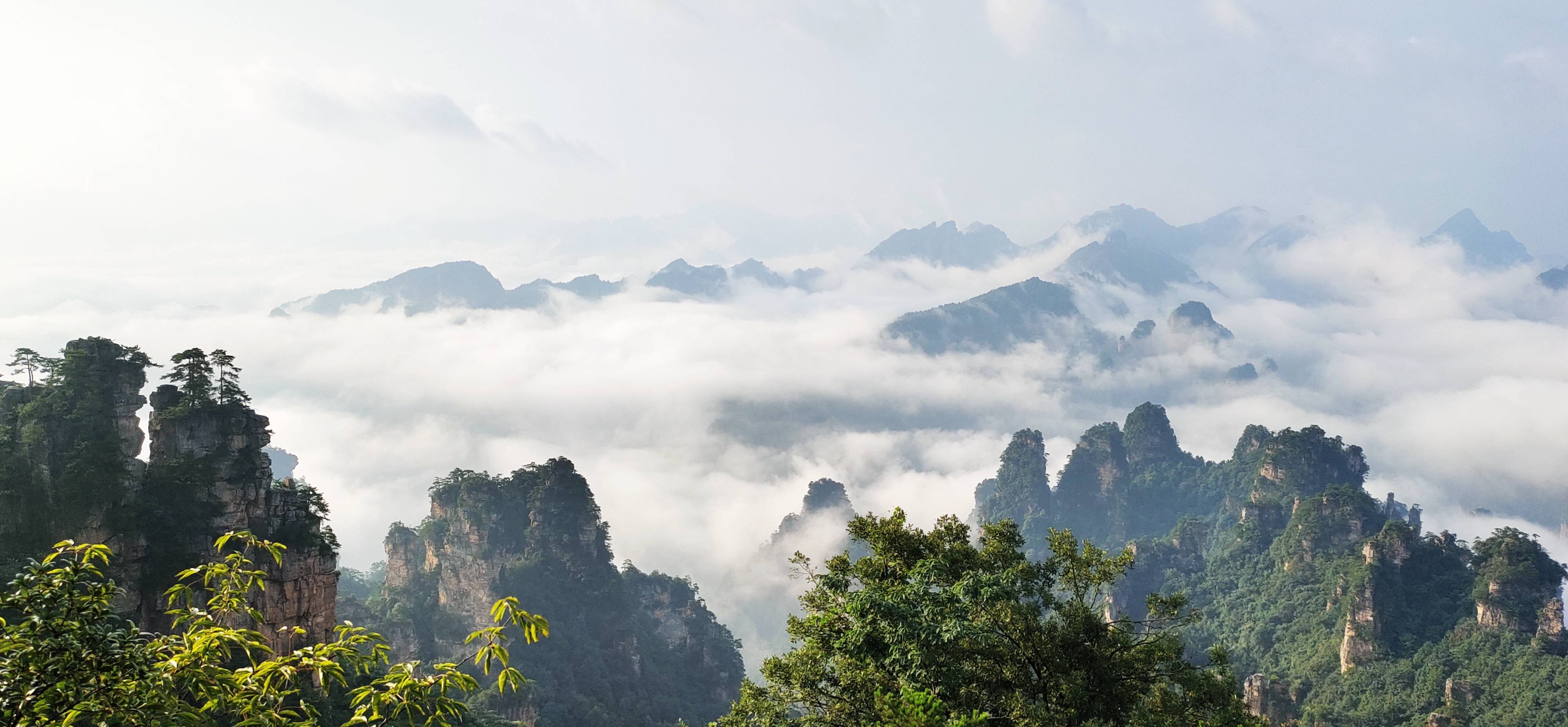 张家界武陵源:初秋云海静等"疫"散