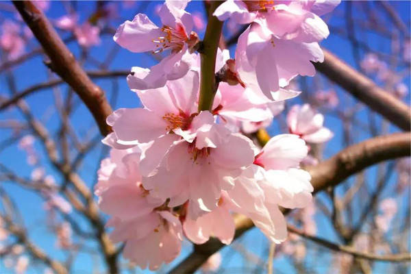 未来一周8月31日起 吉星照耀 财运飙升 事业蒸蒸日上 转身变富豪的3大星座 双子座