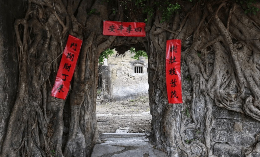 闲暇古村游，遇见潮州沙溪玉湖村，独特奇异的古榕树门