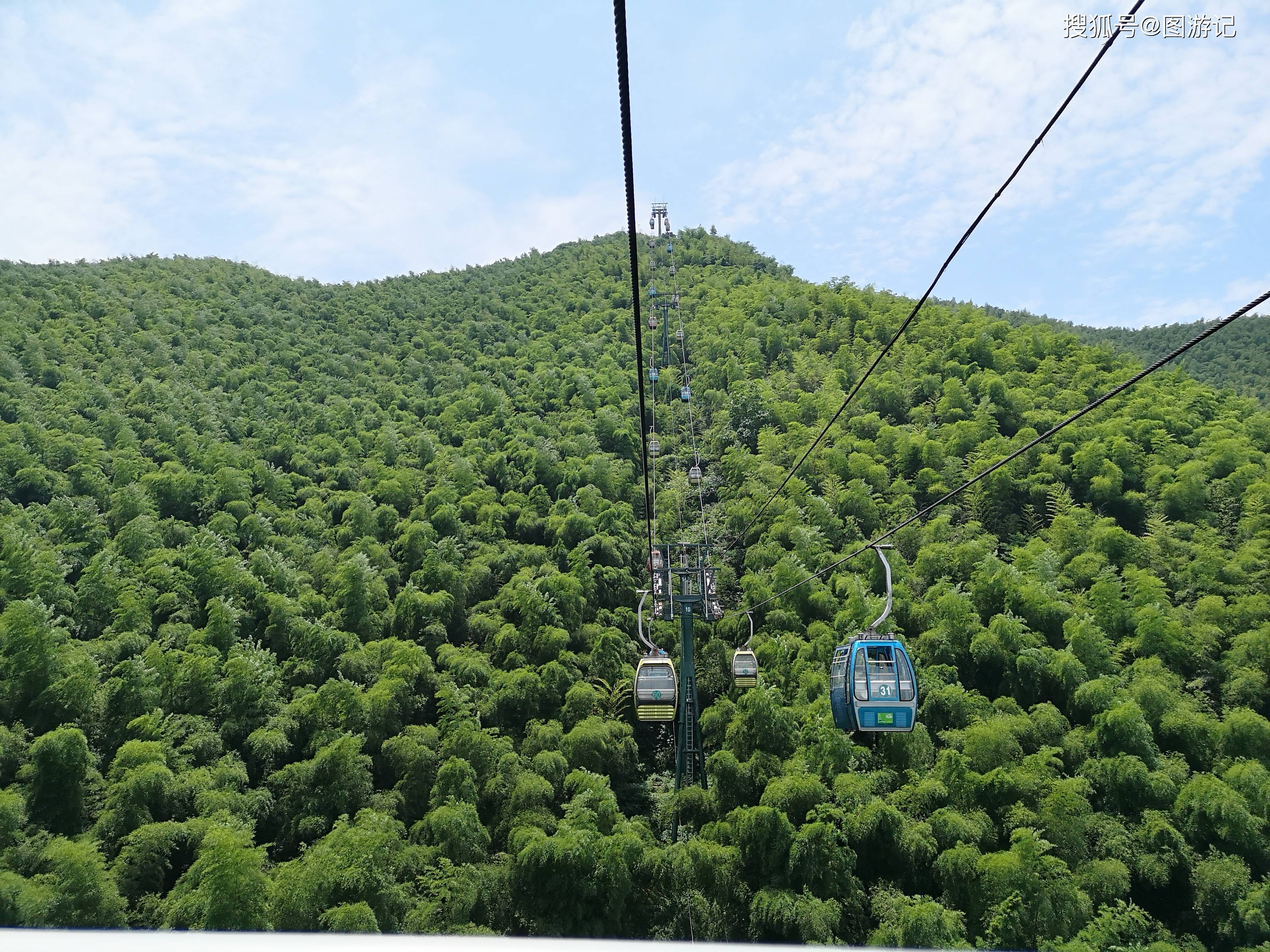 消息资讯|夏日旅游，行走竹海，一个清凉的世界