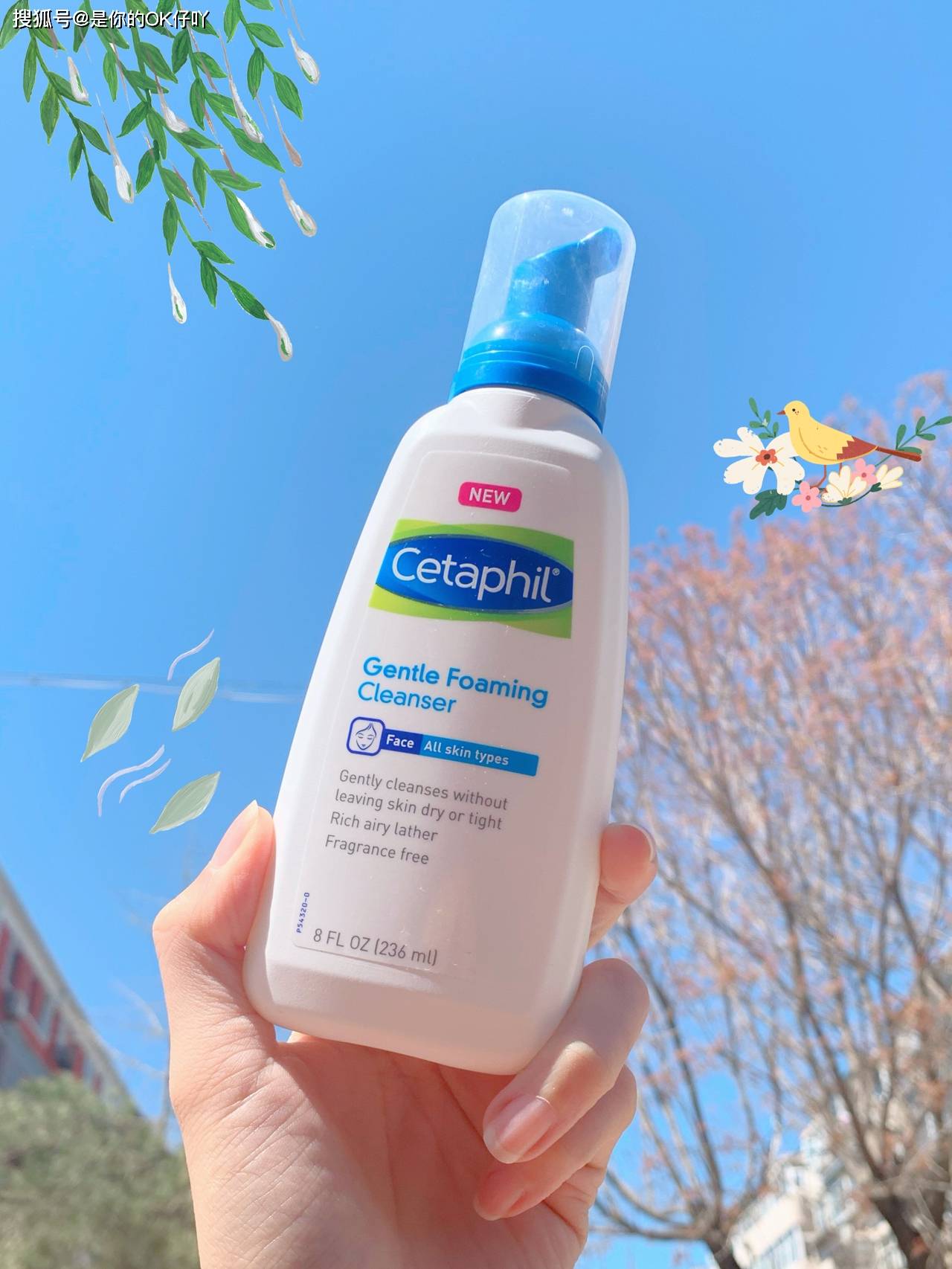 椰油|百元以内好用的洗面奶推荐！快来看看有没有你的同款！