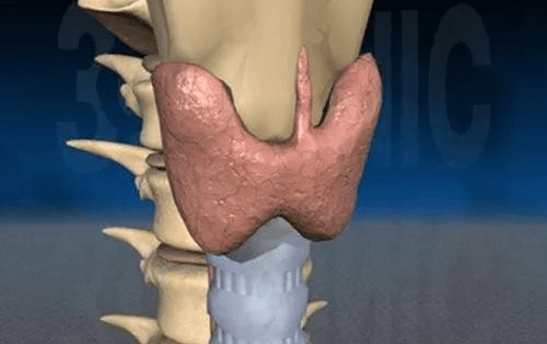 生活|得了甲状腺疾病,应该怎么吃?甲状腺专家景录先:这4种食物再想吃也要控制!