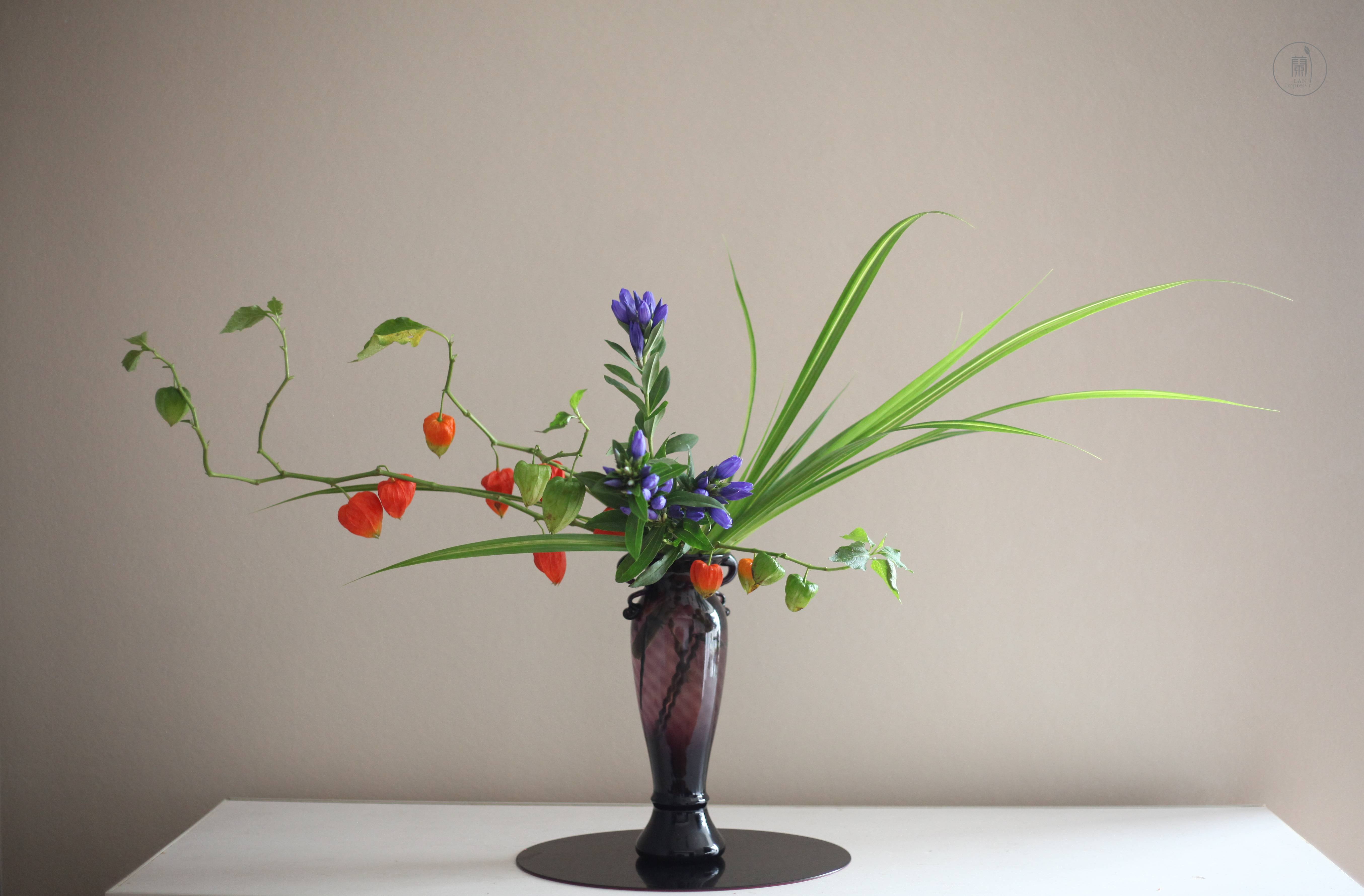 兰印象小原流花道|白露插花