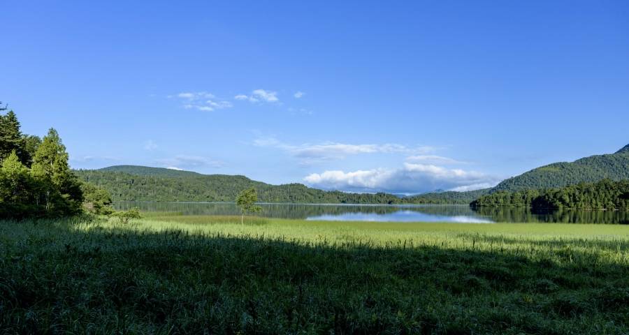 贴牌家电品质到底行不行？-家电圈官网