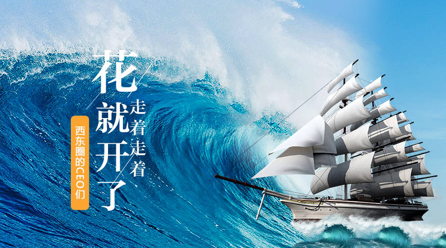 借势起飞的猪不算能耐 逆水行舟才是本事 行业