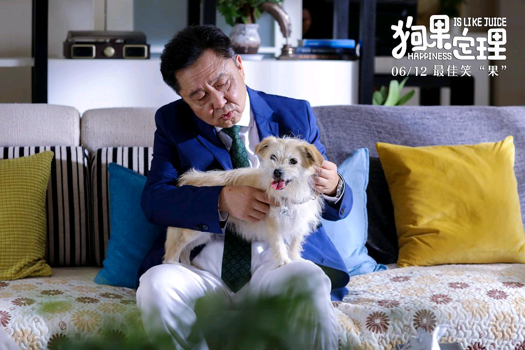 电影|于谦贾冰新片《狗果定理》发布最新预告,剧情都讲了些啥?