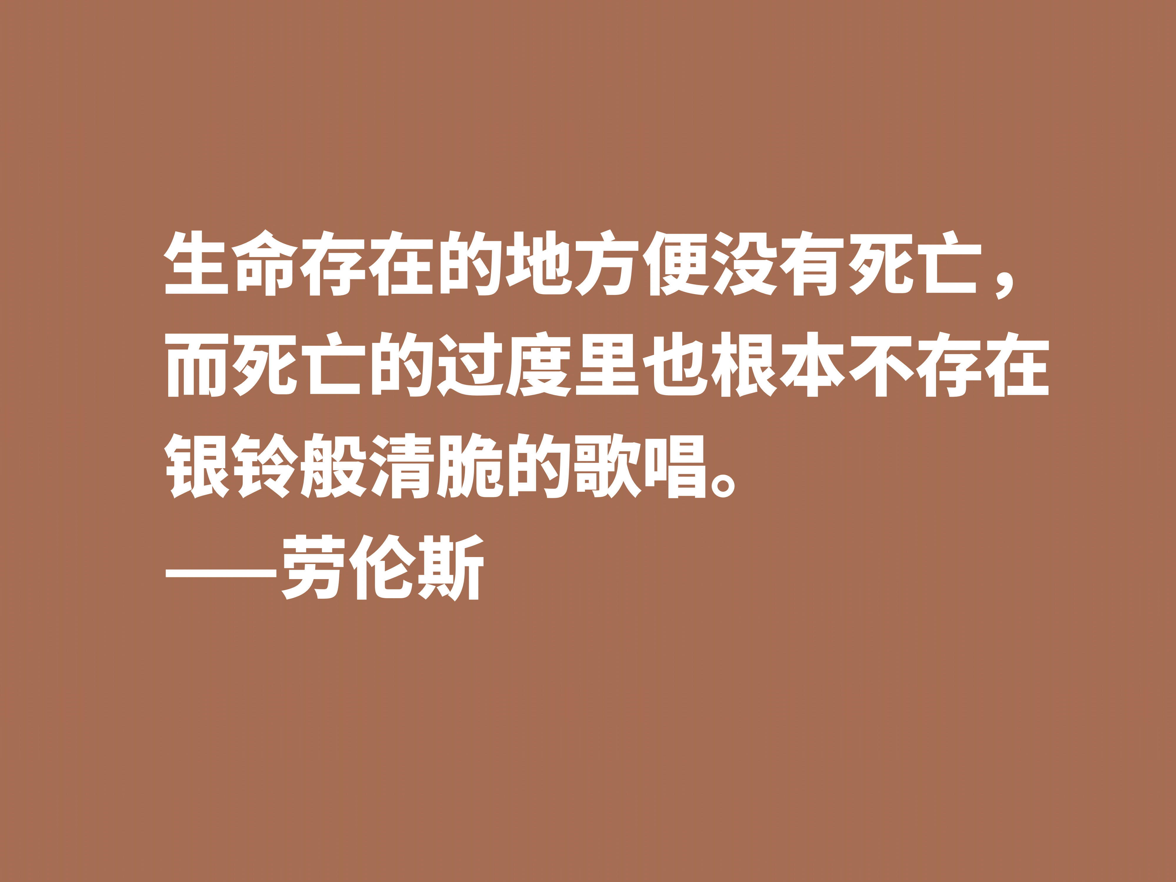 秘密不知所名言小说秘密的名言警句 自媒体热点