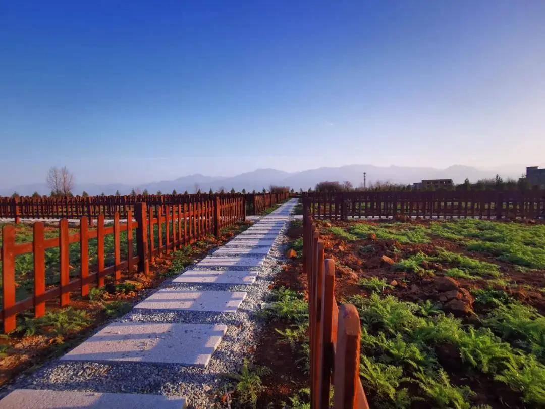 西安航天基地凤栖原上赏秋色最是航天景不同