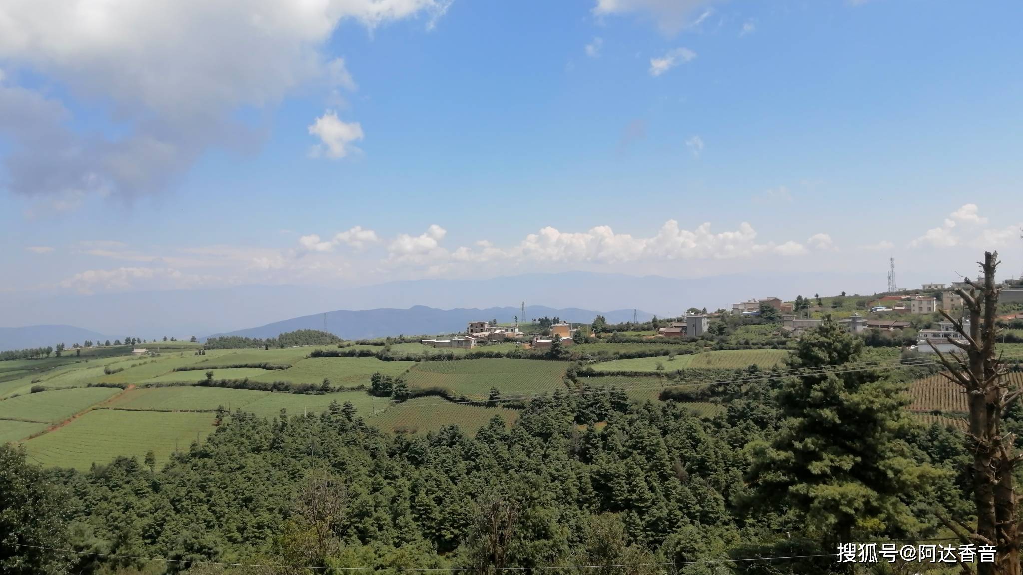 上杨柳村云南省宾川县大营镇上杨柳村