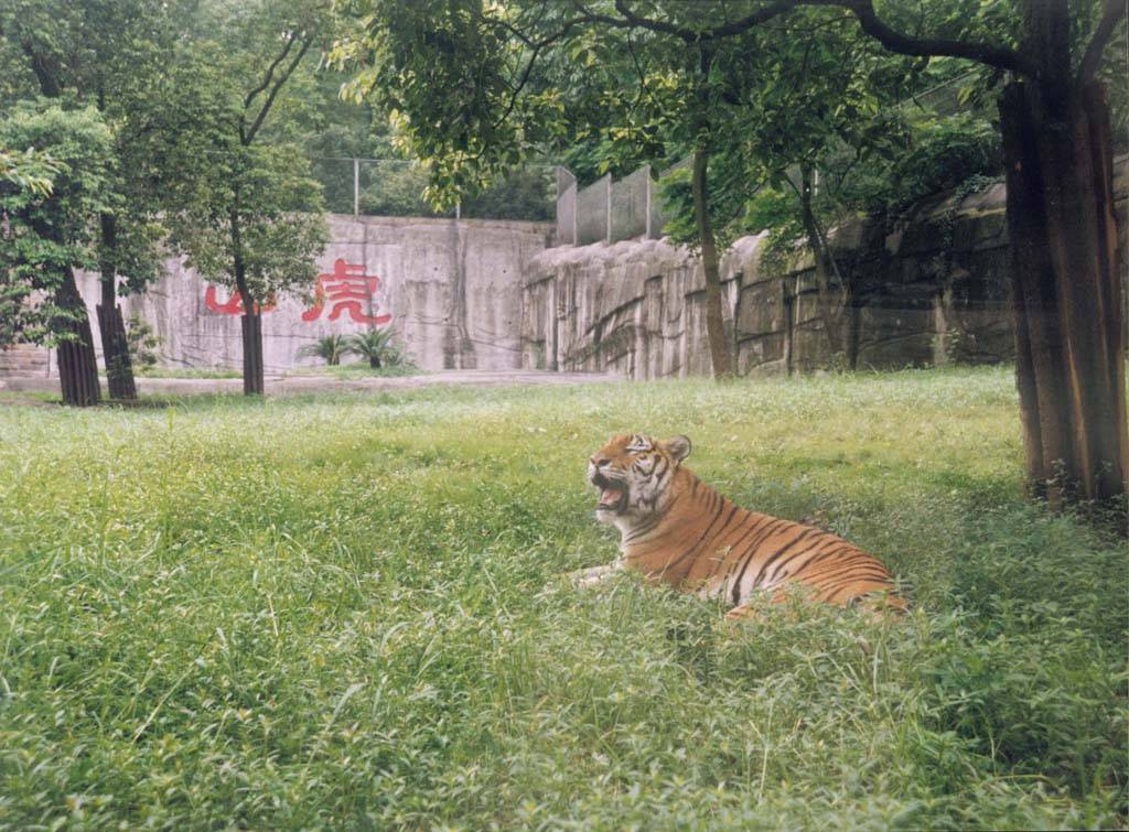 重慶動物園美景