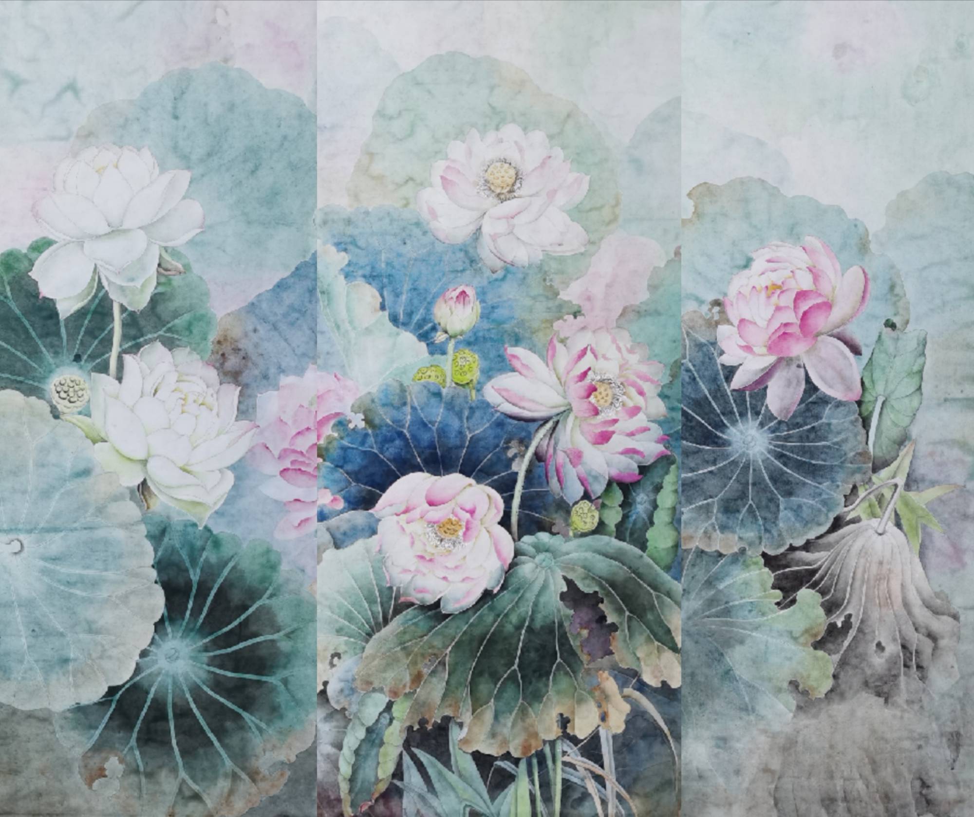 王霜琴工笔花鸟作品选