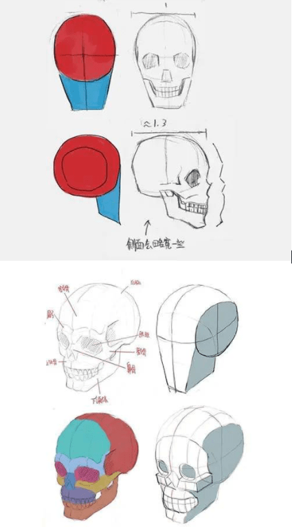 头像|门面担当绘画技巧：板绘新手怎么画头像和脸部教程