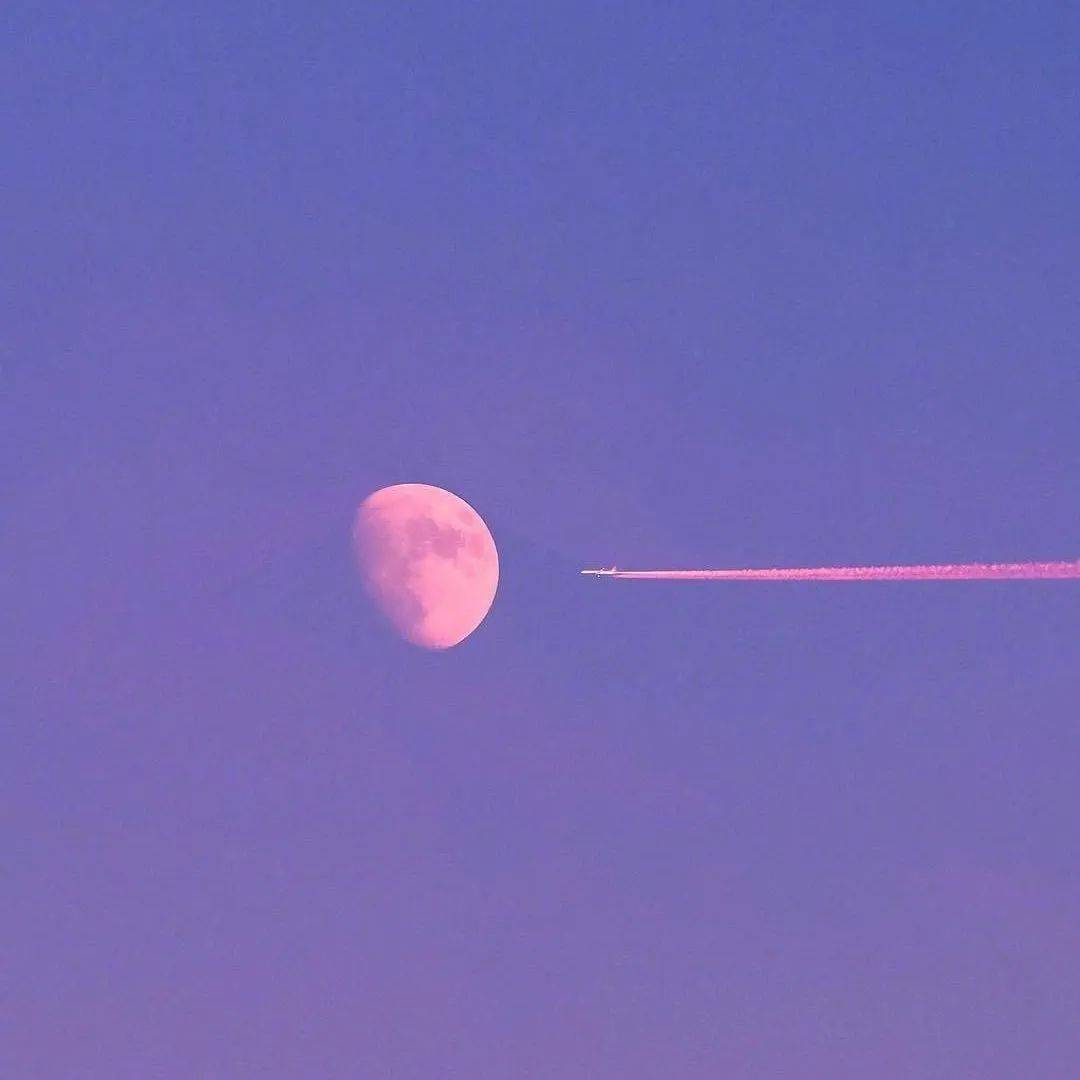 卡通 简约风格的头像|简单干净头像小清新头像|卡通可爱简单小头像|简易可爱的头像