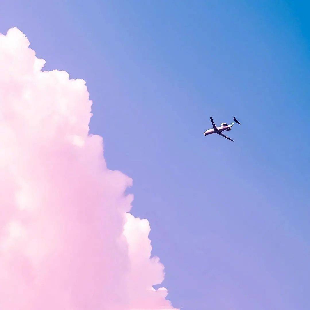 卡通 简约风格的头像|简单干净头像小清新头像|卡通可爱简单小头像|简易可爱的头像