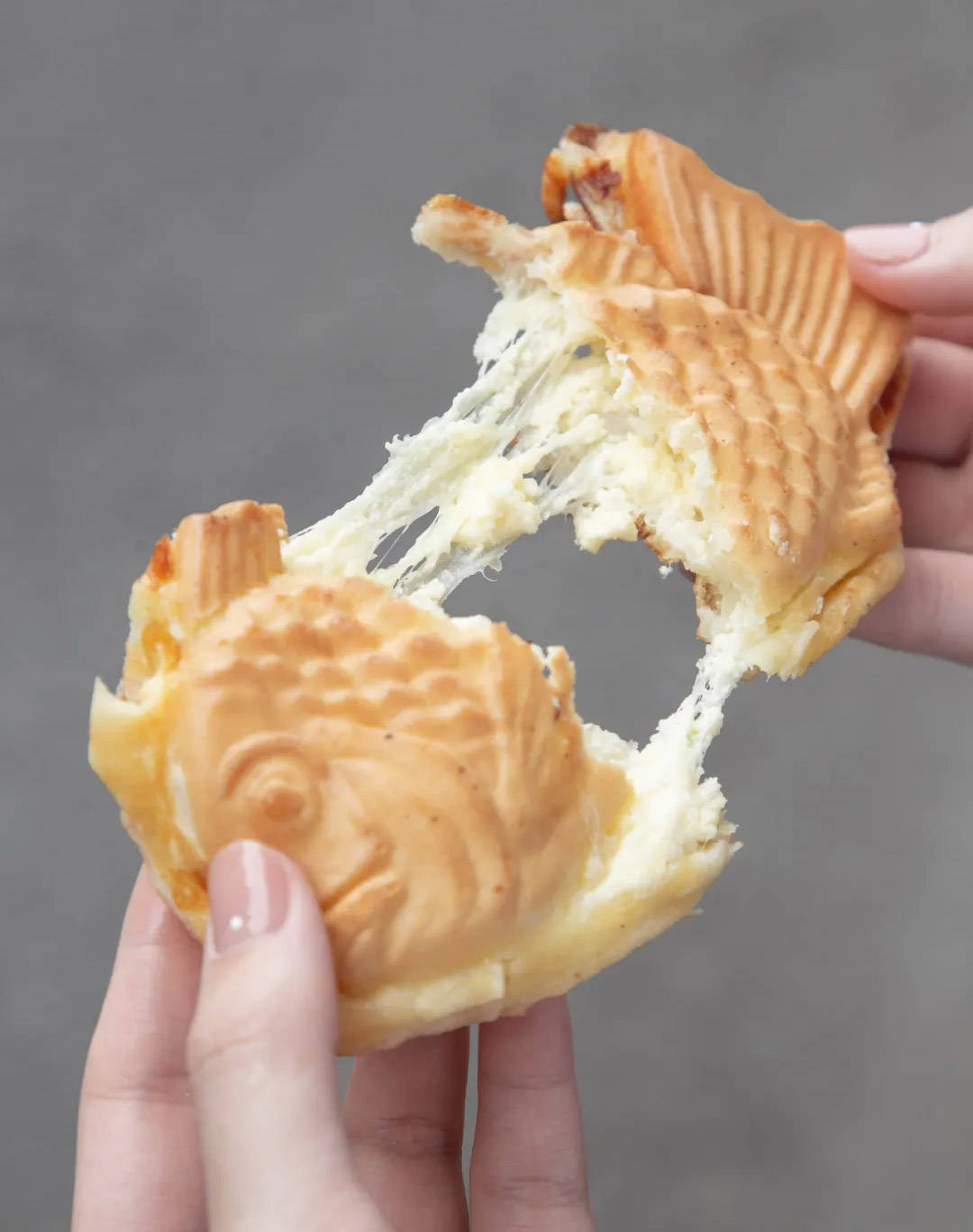 来看看我们鸣门鲷烧本铺的鲷鱼烧吧