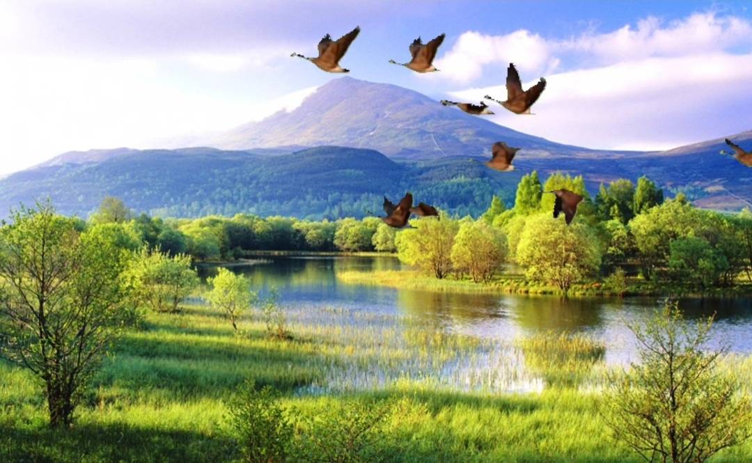 风景图片大全大图漂亮 682b012abc064ddab804a639b529095c.jpeg