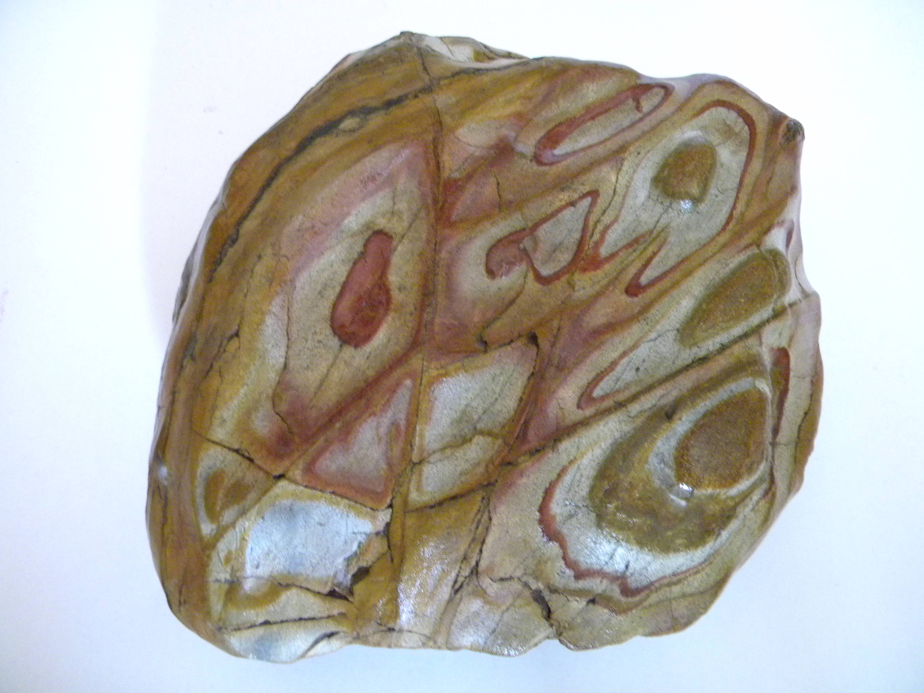 魅力|单福伦：奇石上的舞者