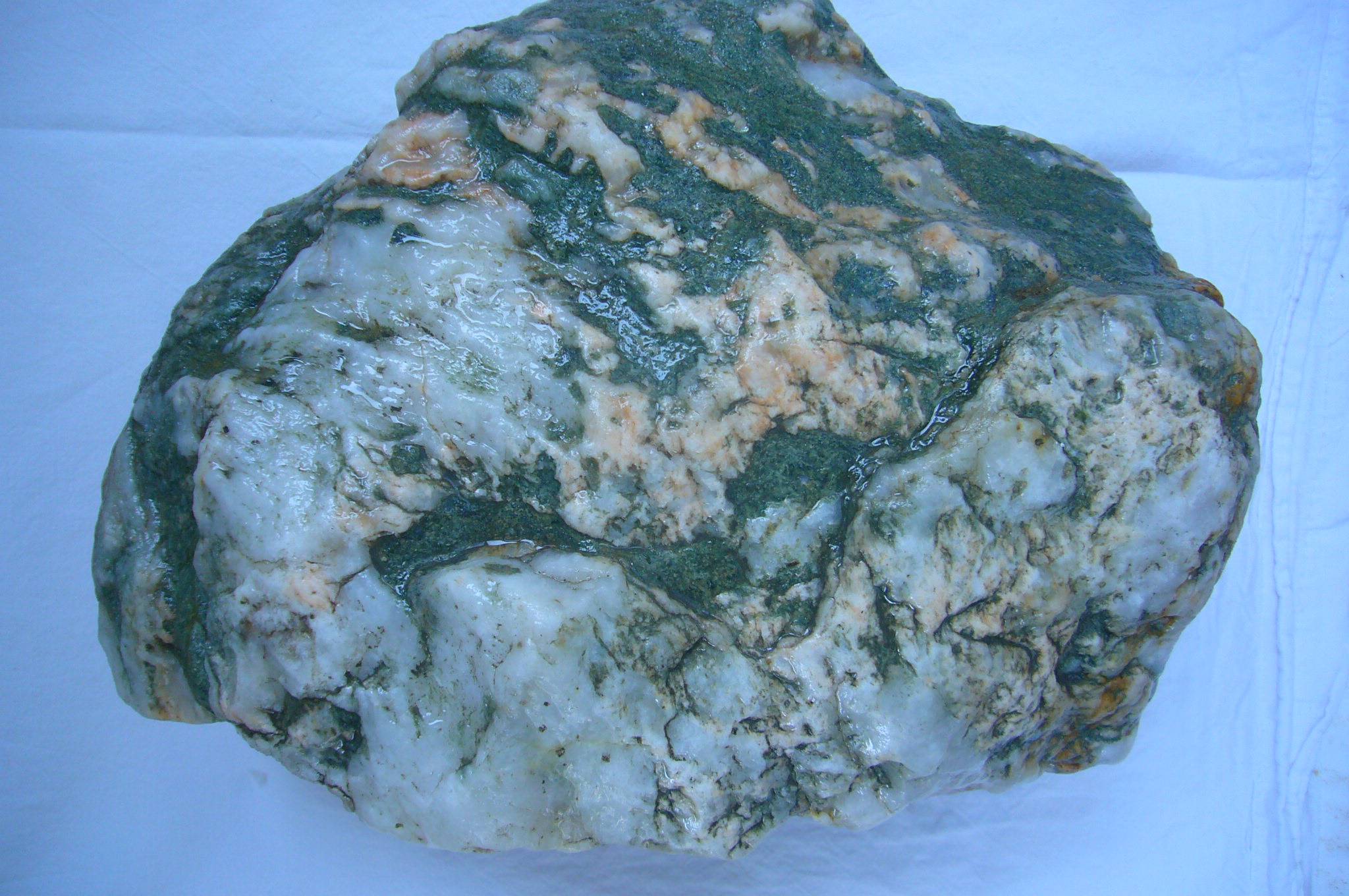 魅力|单福伦：奇石上的舞者