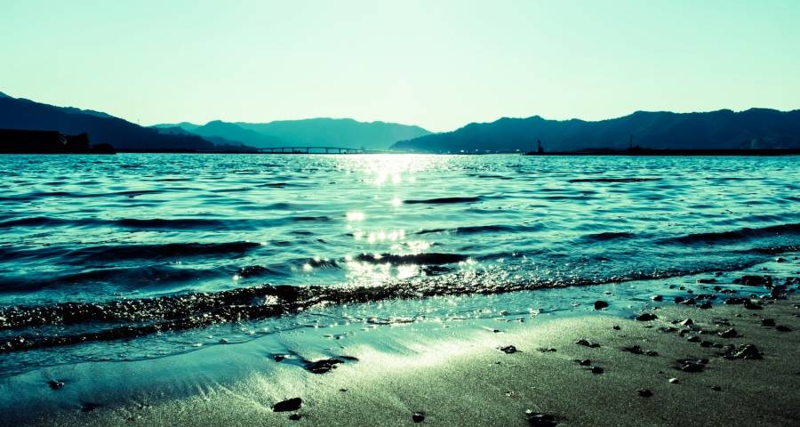 家电零售渠道变革的未来是什么-家电圈官网